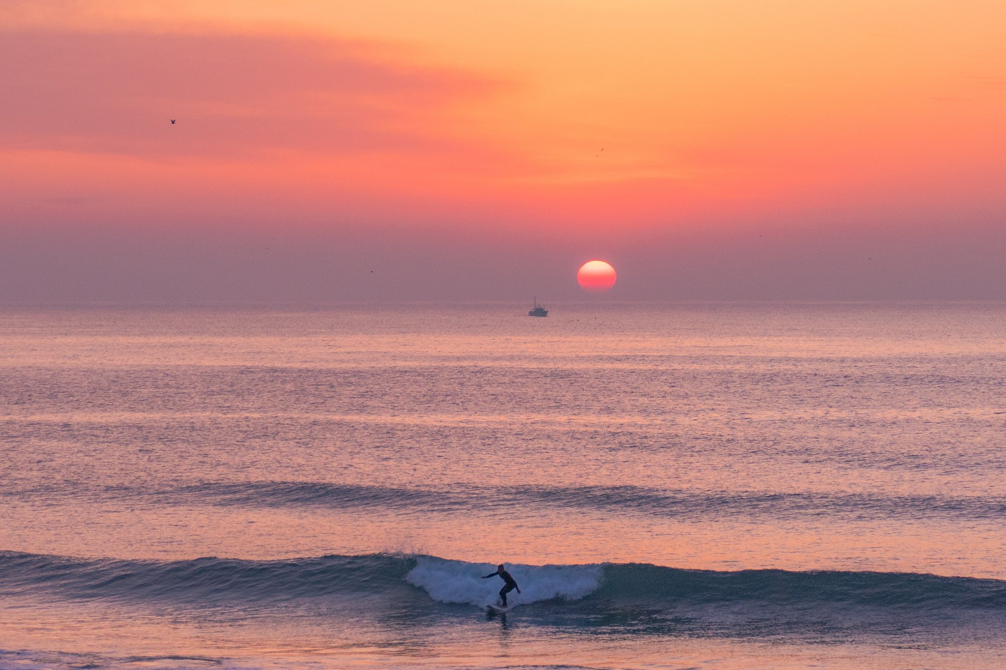 🏖️ 타이토 해수욕장 (太東海水浴場)